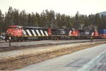 Westbound stack train eases into the yard
